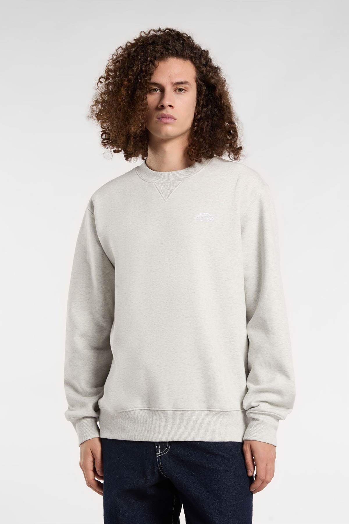 Dickies סווטשירט Summerdale