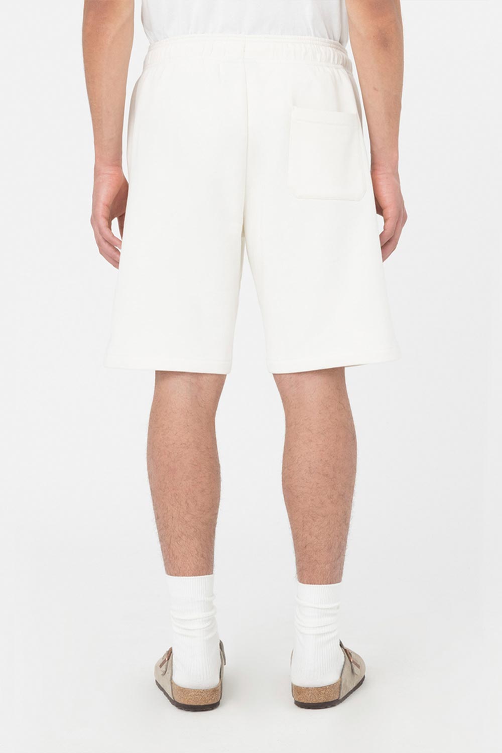 Dickies מכנסי שורטס כותנה Mapleton לגברים