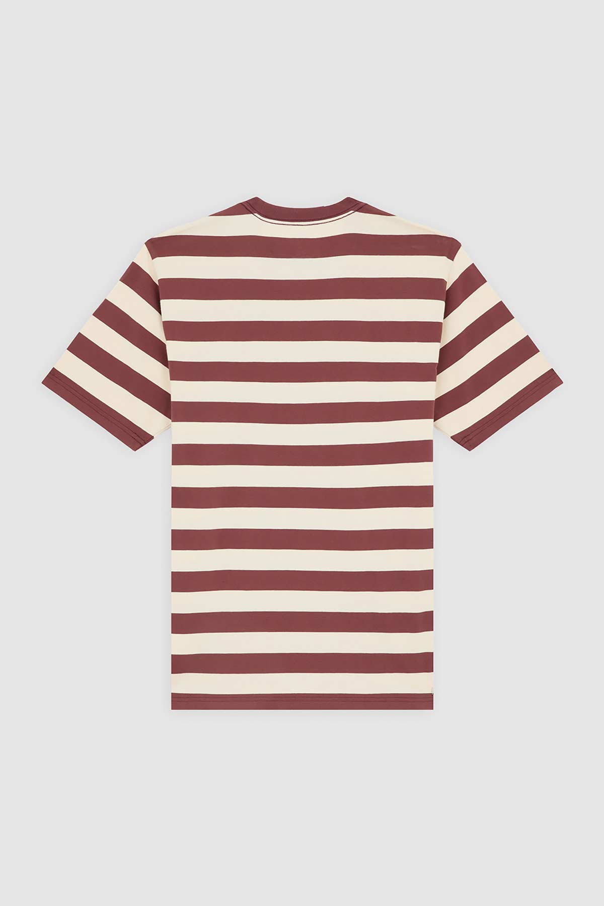 Dickies חולצת טי קצרה Rivergrove