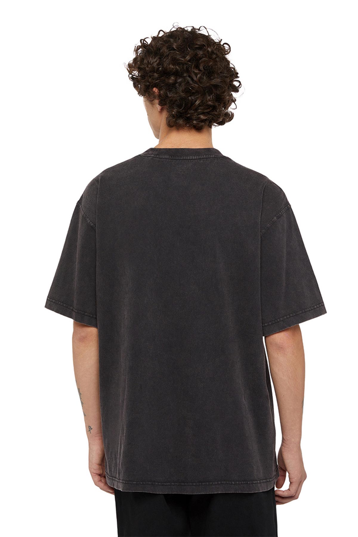 Dickies חולצת אוברסייז קצרה Plentywood לגברים