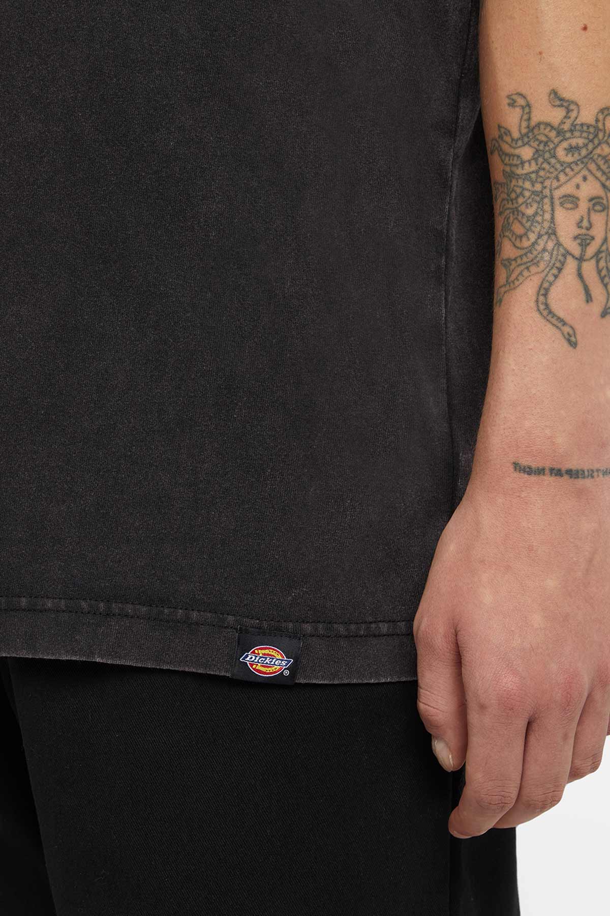 Dickies חולצת טי קצרה Plentywood