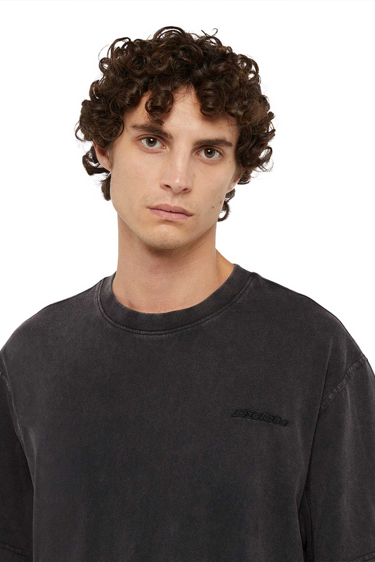 Dickies חולצת אוברסייז קצרה Plentywood לגברים