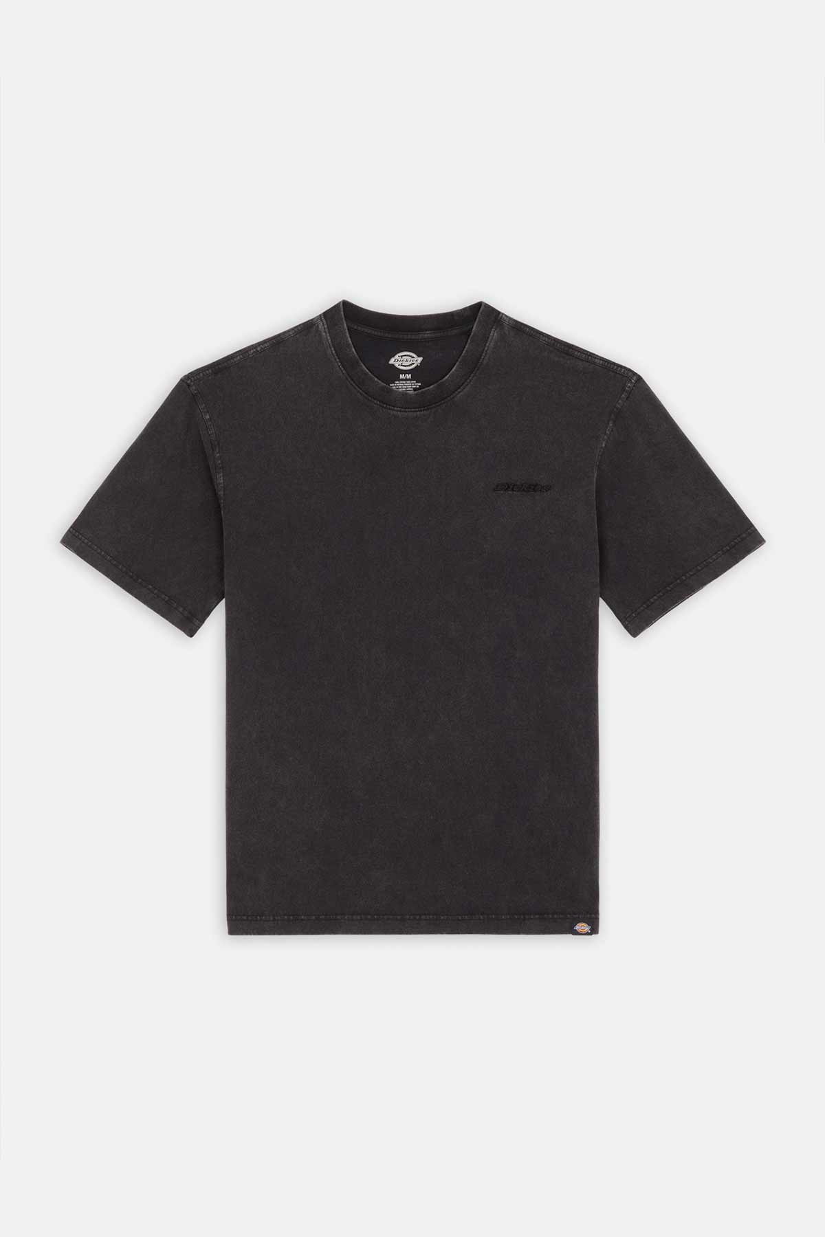 Dickies חולצת טי קצרה Plentywood