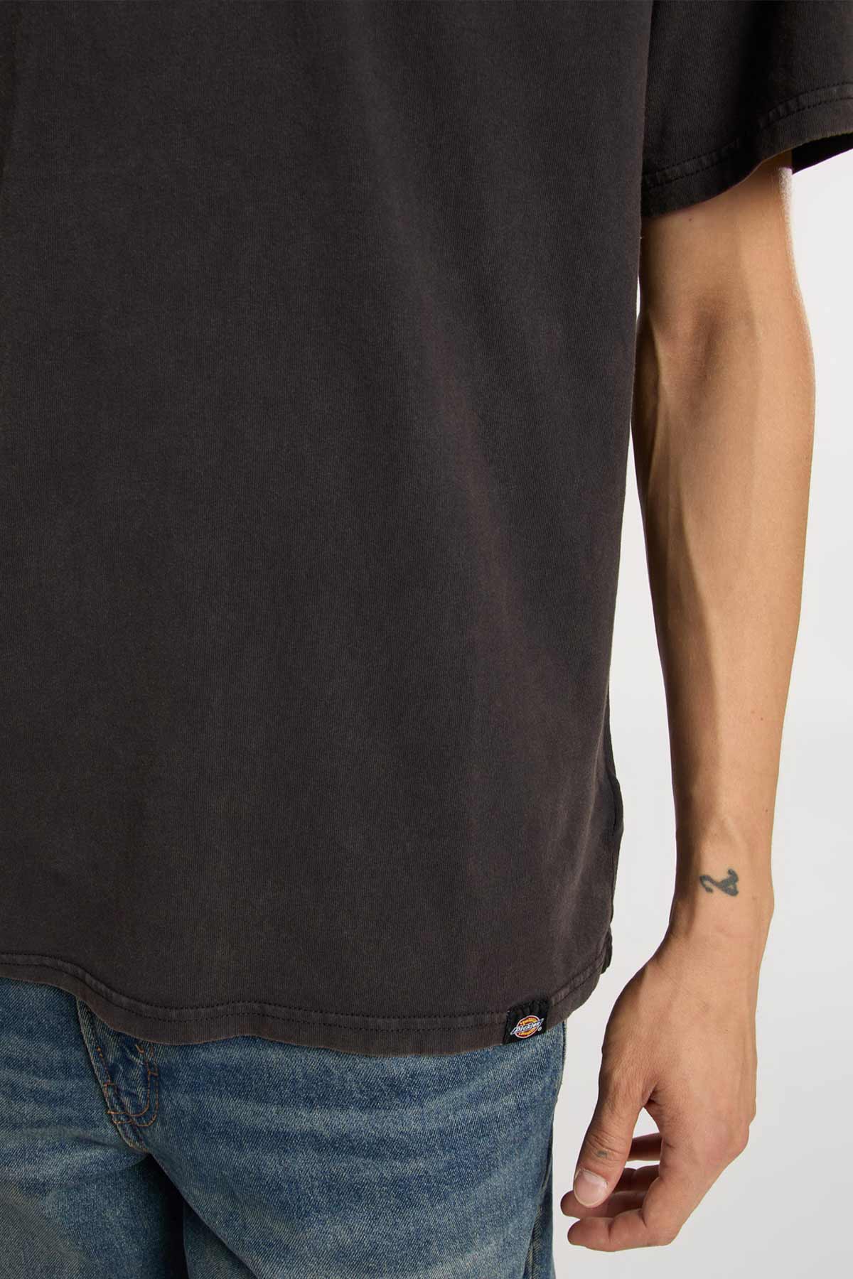 Dickies חולצת טי קצרה Plentywood