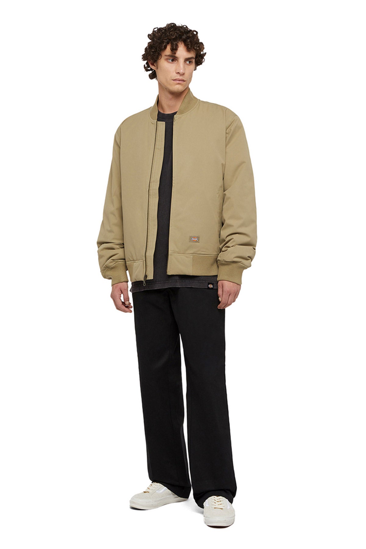Dickies חולצת אוברסייז קצרה Plentywood לגברים