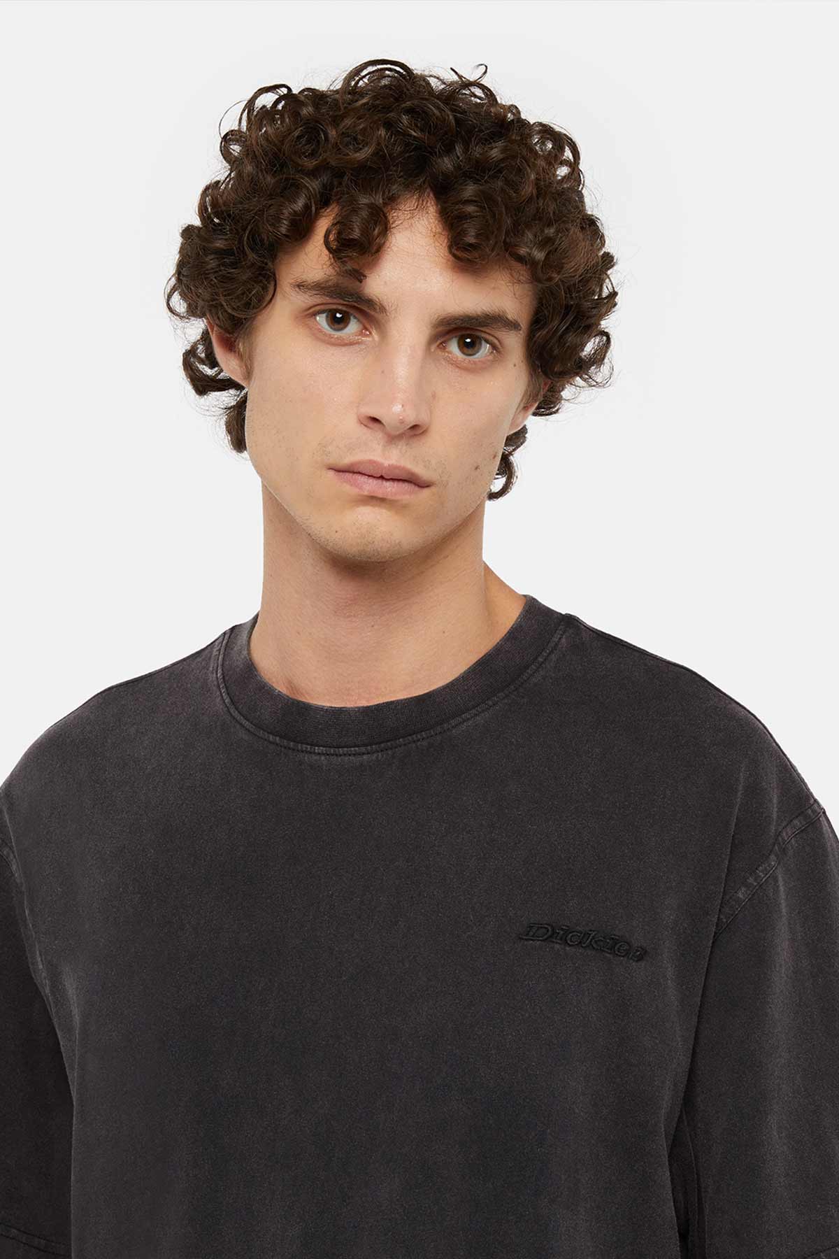 Dickies חולצת טי קצרה Plentywood