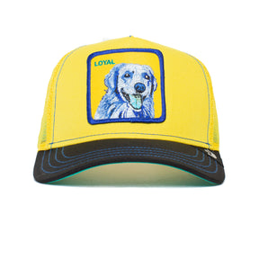 גורין ברוס כובע חיות כלב נאמן טריפ בצבע צהוב-Goorin Bros-One Size-נאקו