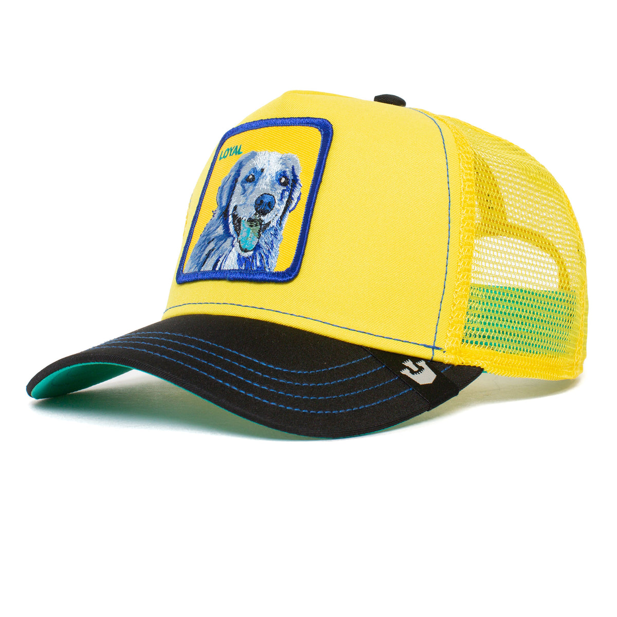 גורין ברוס כובע חיות כלב נאמן טריפ בצבע צהוב-Goorin Bros-One Size-נאקו