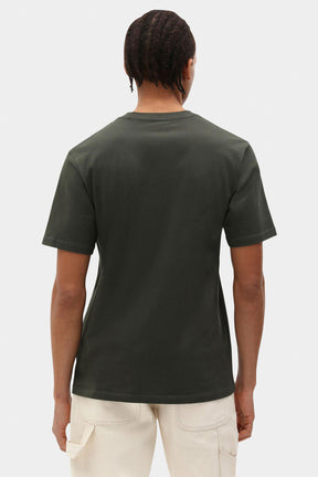 דיקיז חולצת טישירט Mapletown בצבע ירוק כהה לגברים-Dickies-XS-נאקו