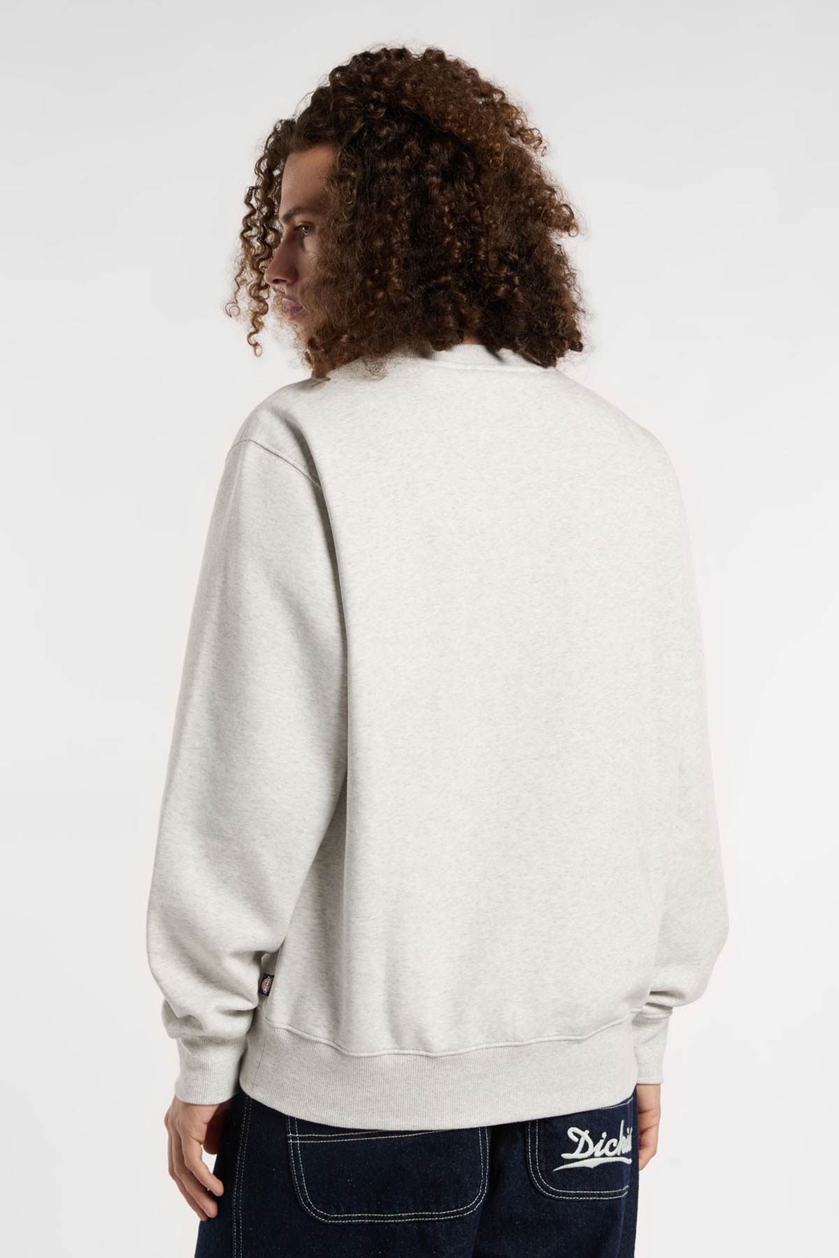 Dickies סווטשירט Summerdale