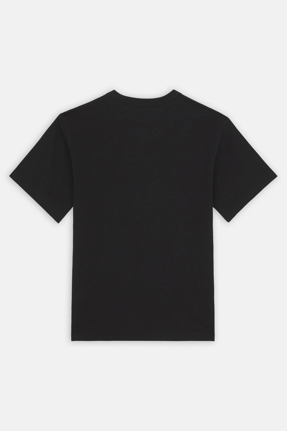 דיקיז חולצת טי AITKIN CHEST בצבע שחור-תכלת לגברים-Dickies-XS-נאקו