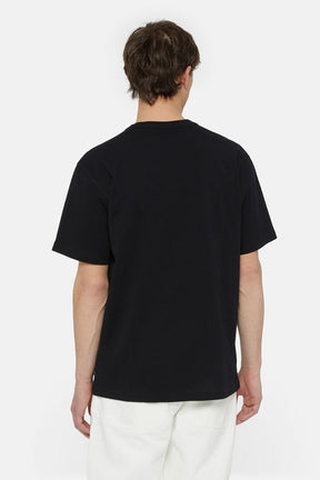 דיקיז חולצת טי AITKIN CHEST בצבע שחור-תכלת לגברים-Dickies-XS-נאקו
