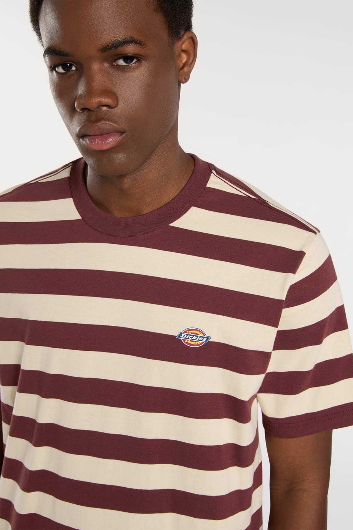 Dickies חולצת טי קצרה Rivergrove