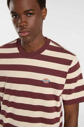 Dickies חולצת טי קצרה Rivergrove