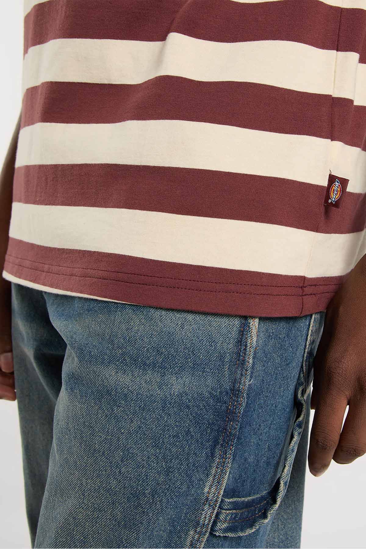 Dickies חולצת טי קצרה Rivergrove