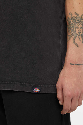 Dickies חולצת טי קצרה Plentywood