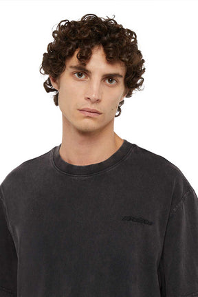 Dickies חולצת אוברסייז קצרה Plentywood לגברים