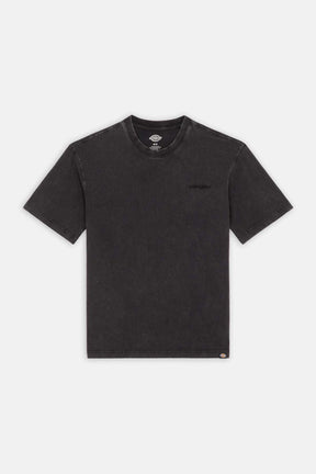 Dickies חולצת טי קצרה Plentywood