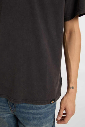 Dickies חולצת טי קצרה Plentywood