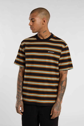 Dickies חולצת טי קצרה York Stripe