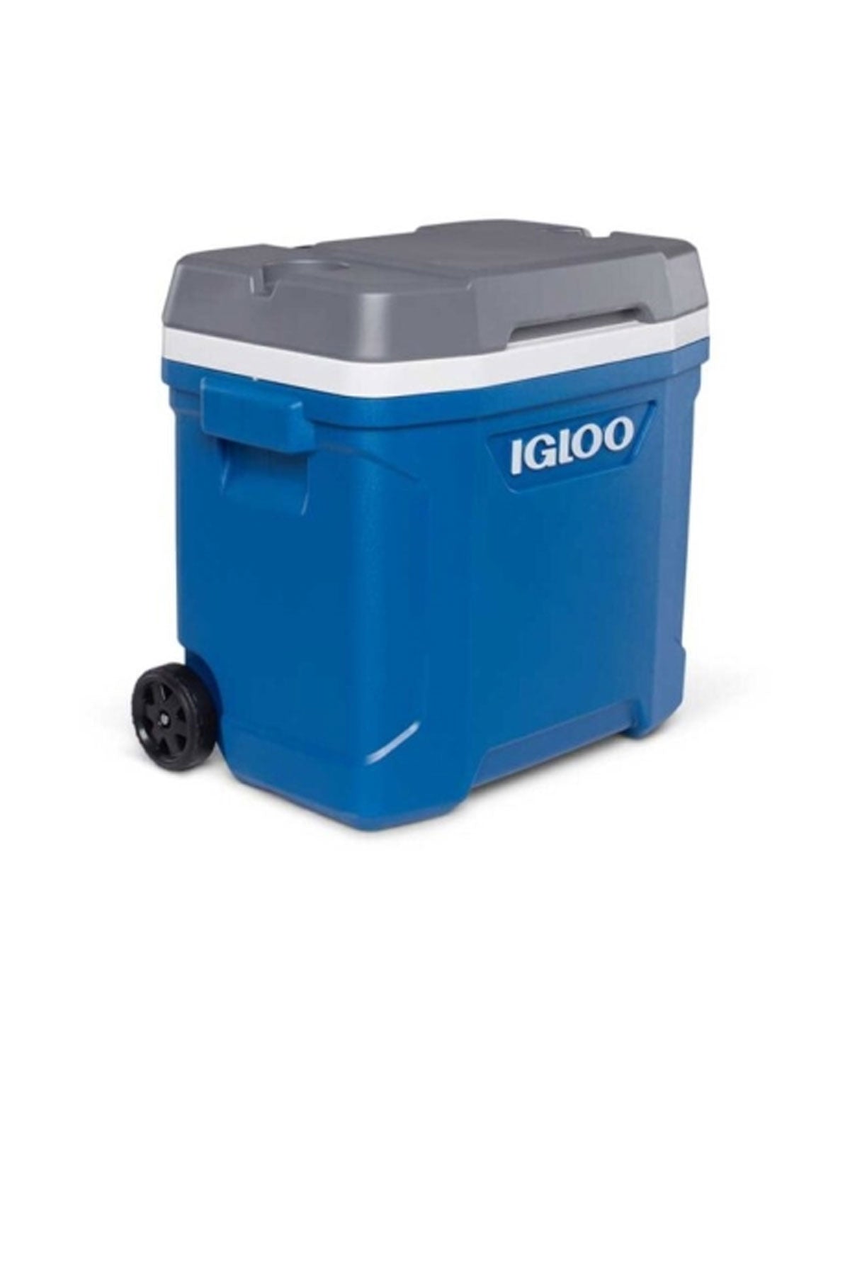 איגלו צידנית קשיחה על גלגלים 28 ליטר LATITUDE בצבע כחול-IGLOO-One Size-נאקו
